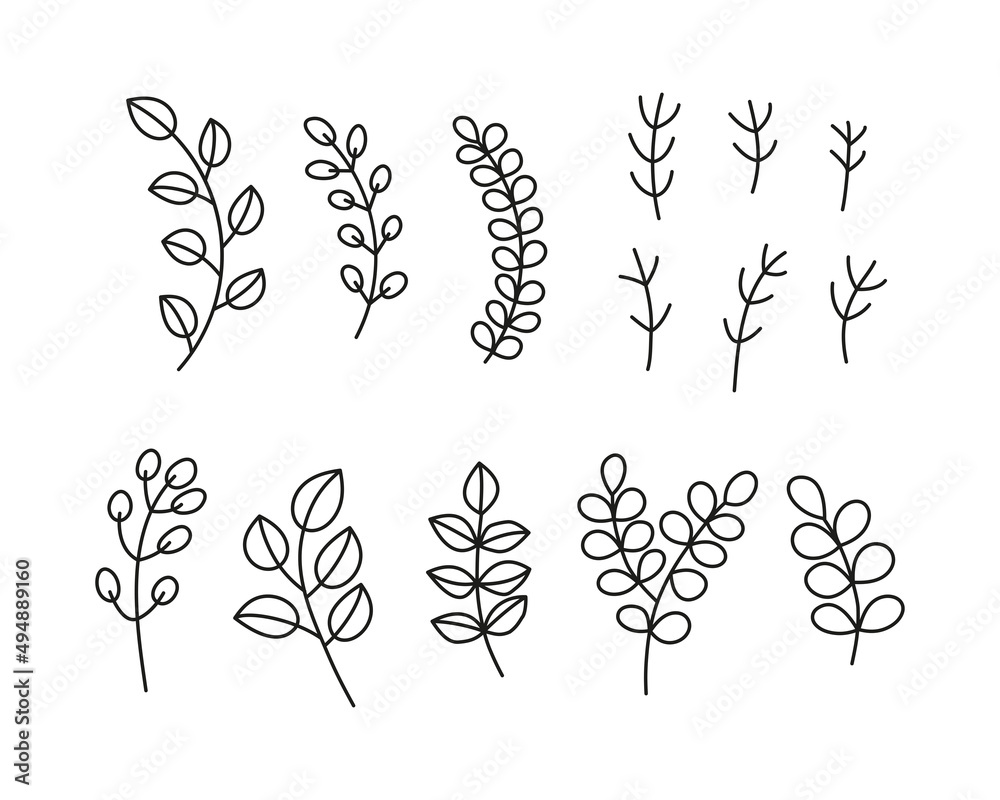 Set of doodle leafy twigs, wild herbs, plants.