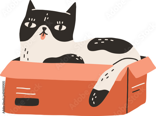 Cute Funny Cat Lying in Box Doodle Illustration