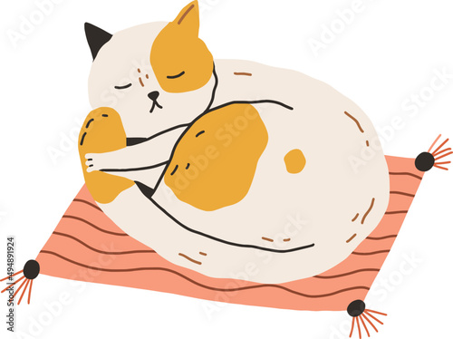Fototapeta Cute Cat Sleeping Doodle Illustration