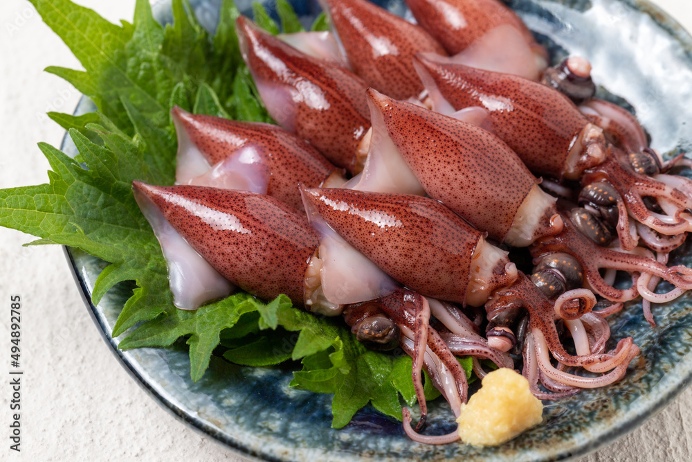 新鮮なホタルイカ