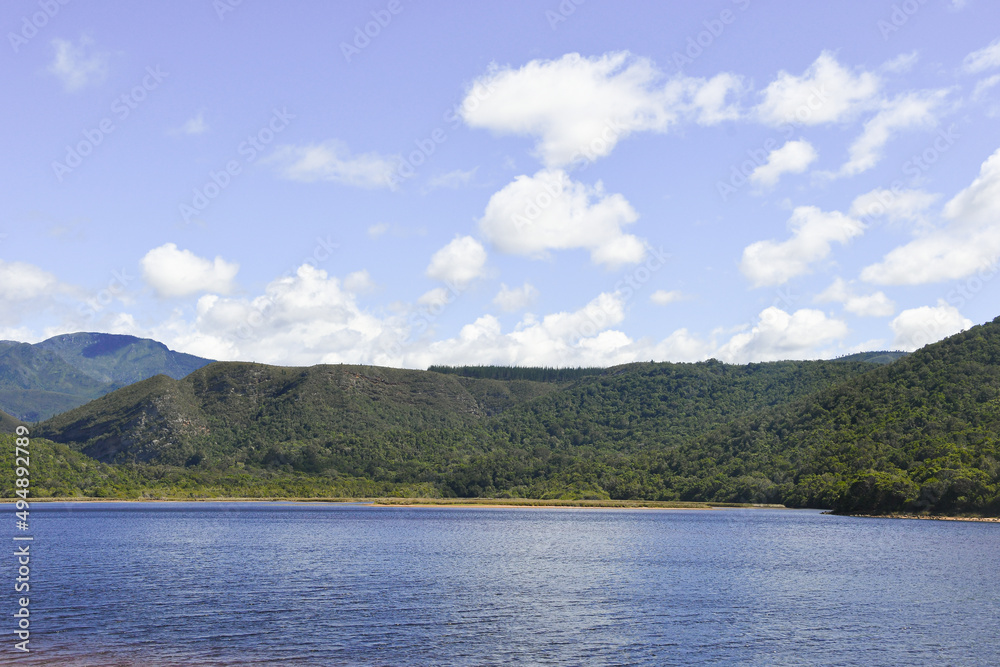 view of the coast of south africa on a sunny summer day