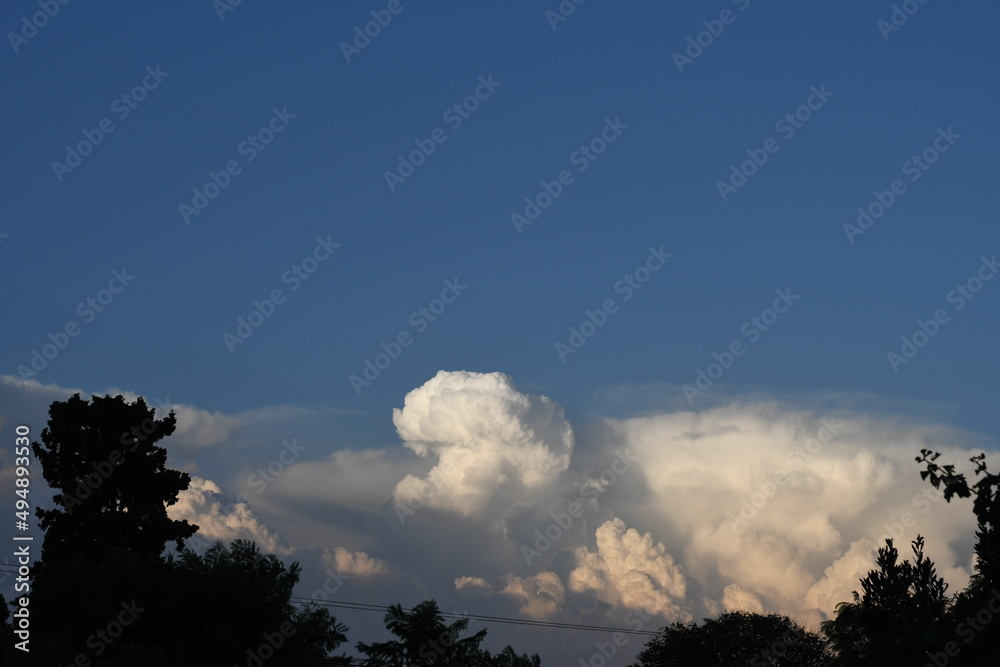 Fototapeta premium White Clouds in a Blue Sky