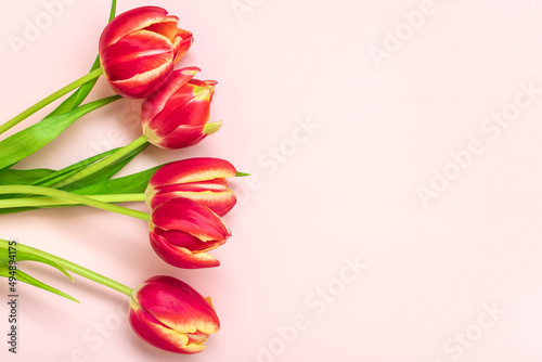 Fototapeta Naklejka Na Ścianę i Meble -  Bouquet of red tulips on pink background Top view Flat lay Holiday greeting card Happy moter's day, 8 March, Valentine's day, Easter concept Copy space Mock up
