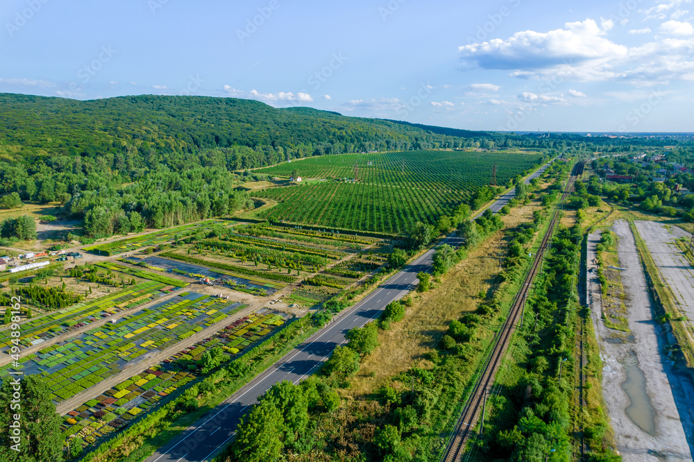 A garden center with thuja coniferous bushes and almond trees near the road and railway.