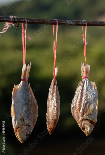 Chinese style dried fish being processed