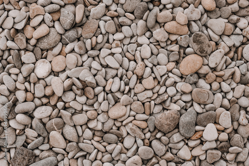 Pebble beach. Coast Colorful sea pebbles, natural background, texture. Close-up from above. Place for text