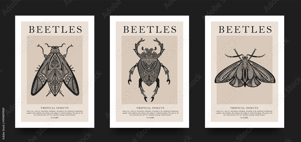 Poster collection. Vector detailed sketches of insects with patterns. Hand drawing beetles. Set of entomological drawings. Beetle outlines for print, banner, poster, tattoo, card design. Poster collection. Vector detailed sketches of insects with patterns. Hand drawing beetles. Set of entomological drawings. Beetle outlines for print, banner, poster, tattoo, card design.