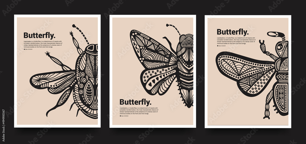 Poster collection. Vector detailed sketches of insects with patterns ...