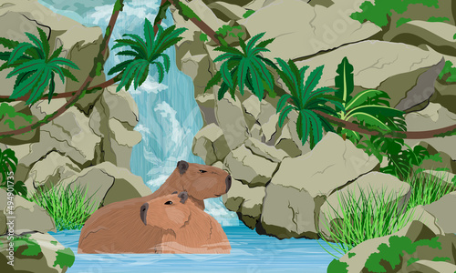 A pair of large capybaras are sitting in the water near a large tropical waterfall. Rodents of South America. Realistic vector landscape