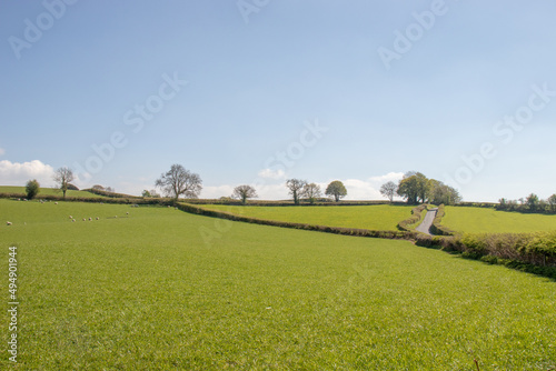 Springtime hills in Wales.