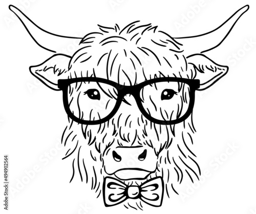 Cow head with glasses and tie. Hipster Highland
