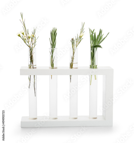 Test tubes with natural ess...