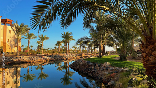 Beautiful view of palm trees at sunset in Soma Bay, Hurghada, Egypt photo