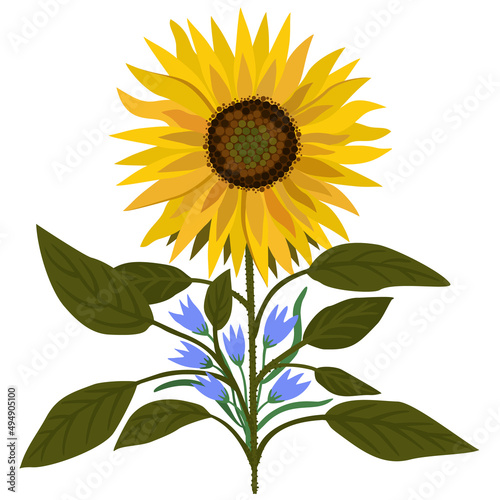 Vector bright illustration of sunflower and little bellflowers isolated on white background.
