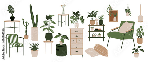 Green home decoration vector set. Scandinavian hygge style interior with furniture. Home plants in flower pot. Flat vector cartoon illustration isolated on white background. photo