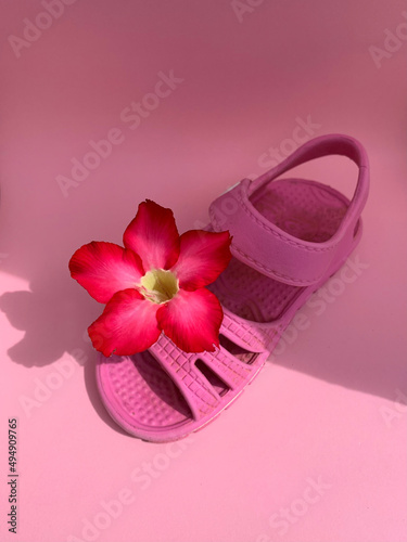 Old and wasted cute children sandals with adenium flower on the top. The images were shot on pink studio background with a top view angle.