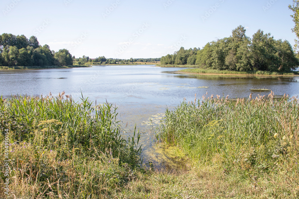 Banks of the Oka river in summer