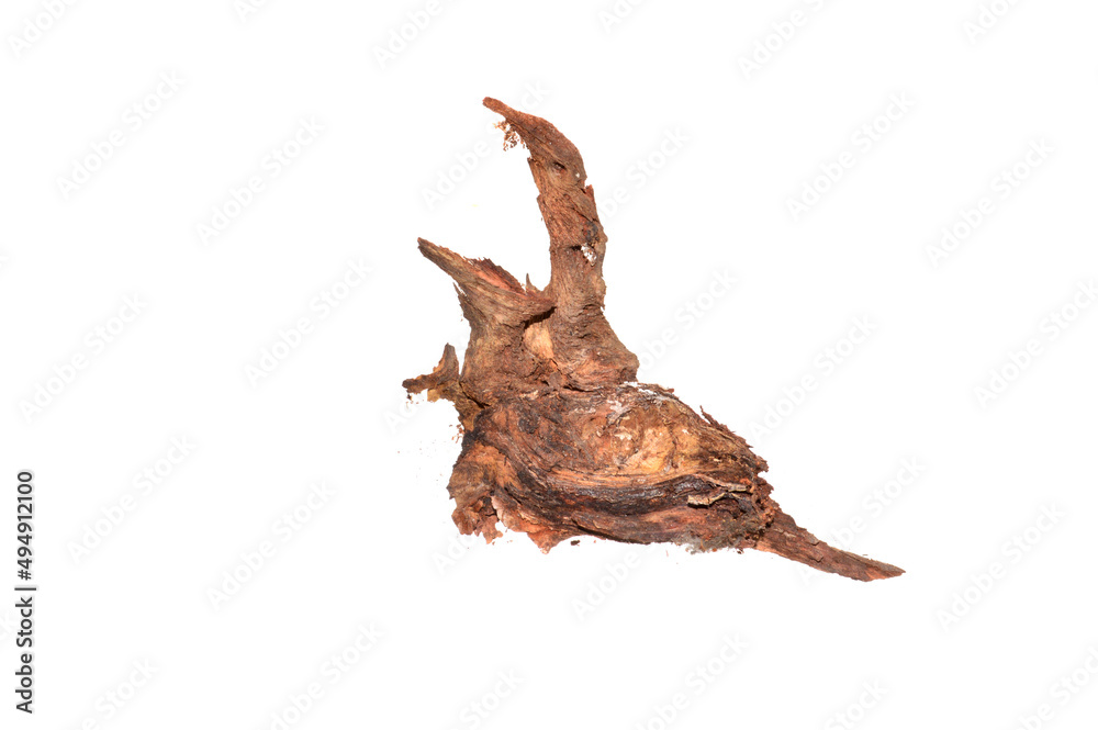 Fototapeta premium wooden knot isolated on white background