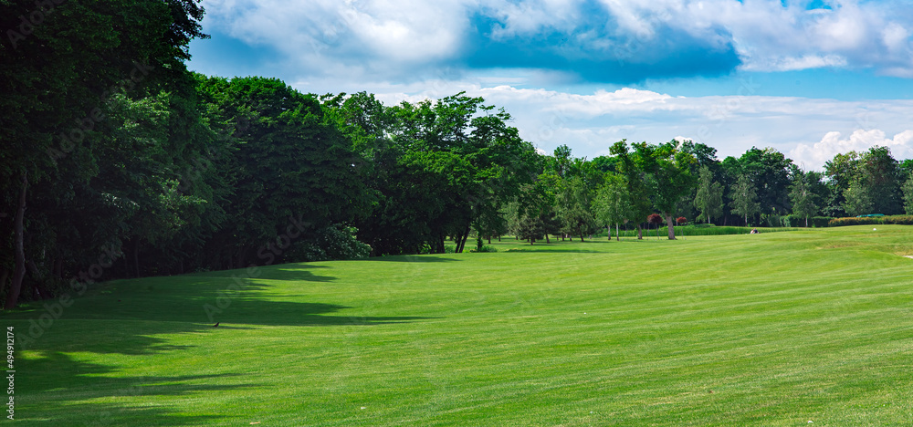 Fototapeta premium landscape design with hilly meadow covered with green turf grass at edge of forest with tall deciduous trees on sunny summer day with clouds in sky, banner eco nature park with copy space, nobody.