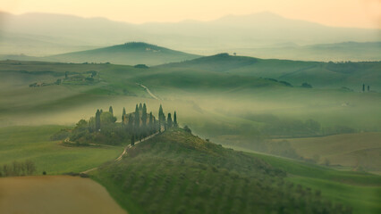 Wandcirkels Olijfgroen Groen heuvellandschap Toscane Italië  © Alex254/Wirestock Creators