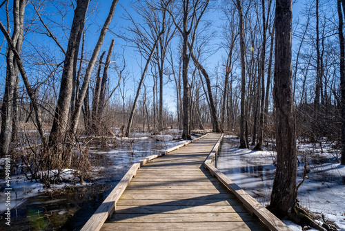 Great Swamp Park by East Branch Croton River at Patterson New York photo