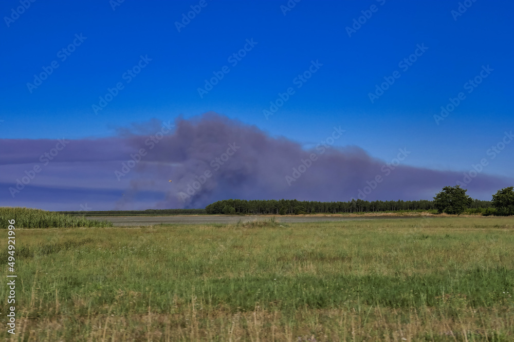 Fototapeta premium Forest fire in Landes, France, natural disaster/Feu de forêt dans les Landes, France, catastrophe naturelle