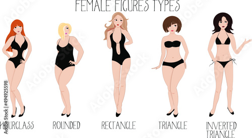 Female figures types in swimsuits vector illustration.
