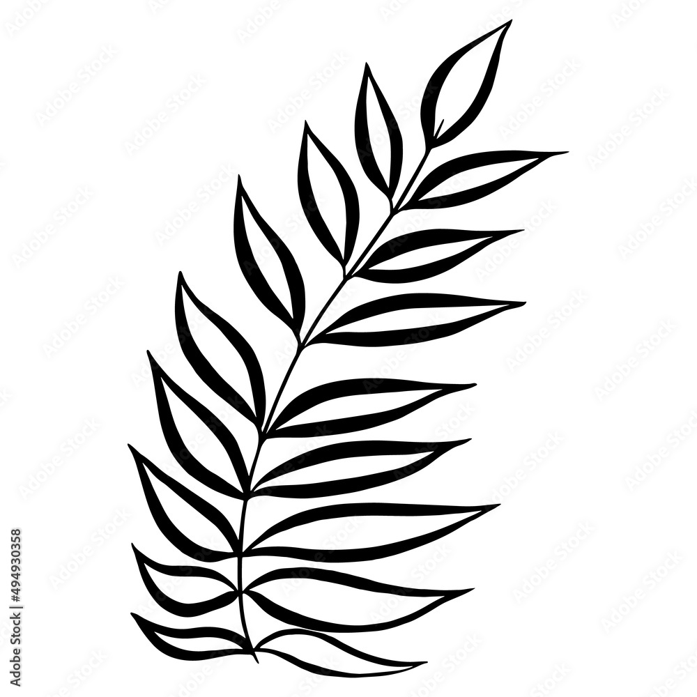 Hand drawn  leaf, branch.
Vector illustration for  card, home decor. 
Hand drawn plant for decoration