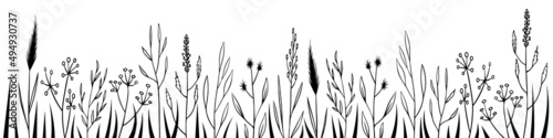 Floral horizontal border. Hand drawn weed grass on white background. Vector illustration.