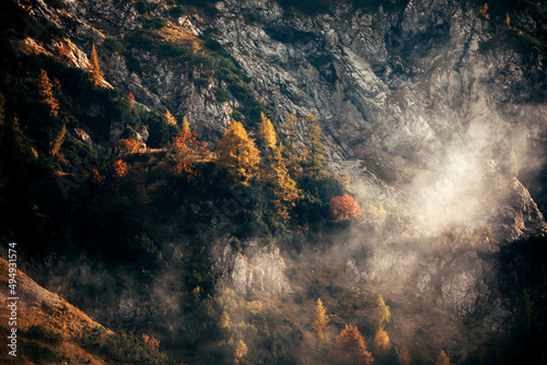 panorama with trees and fog in autumn © Francesca Emer