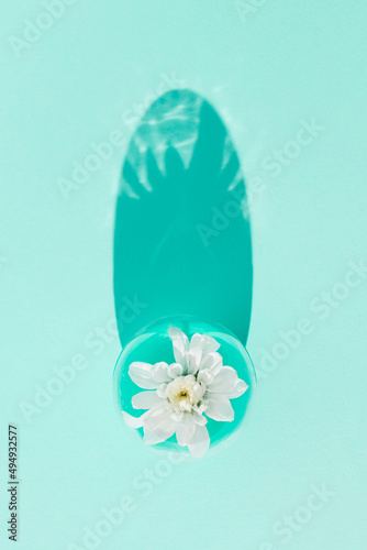 Creative flat lay composition done with white spring blossom inside the fashionable plastic egg on turquoise background. Minimal easter, spring mockup. Natural sunlight lighting and sharp shadows.