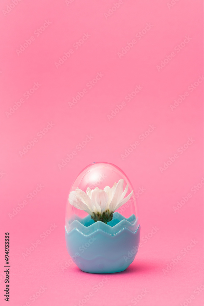 Creative concept done with white spring blossom inside the fashionable plastic egg on pastel pink background. Minimal easter, spring mockup.