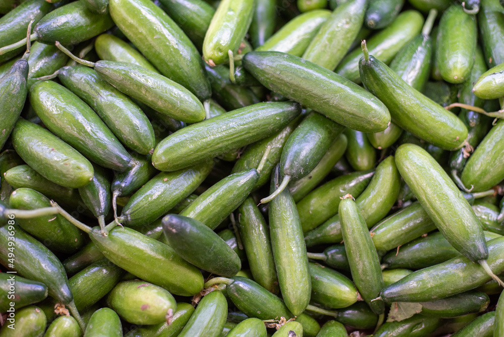cucumber cucumber