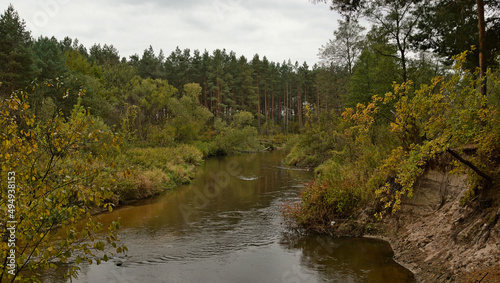 The bank of the Tanew river in late autumn.