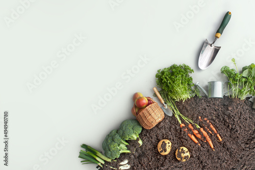 Organic fruits and vegetabl...