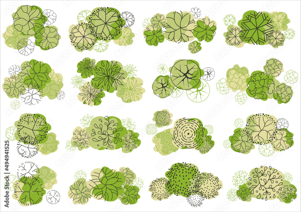 Tree for architectural floor plans. Entourage design. Various trees, bushes, and shrubs, top view for the landscape design plan. Vector illustration.
