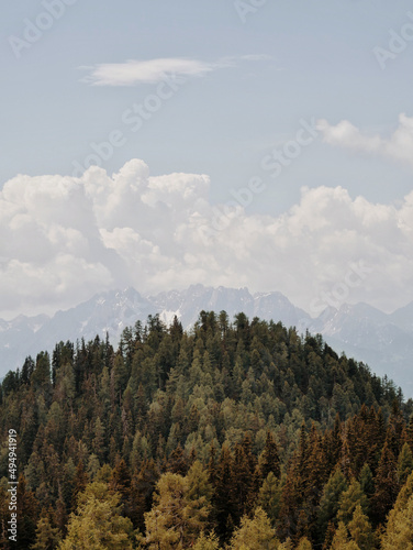 Hill of trees near Mohar photo