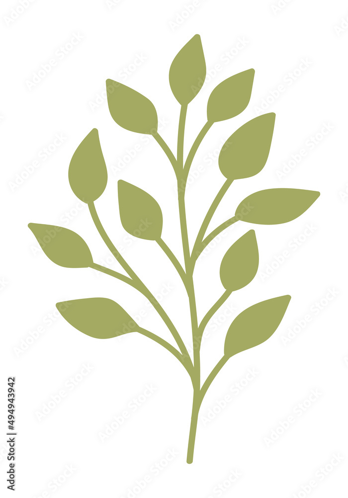 Botanical Botanical