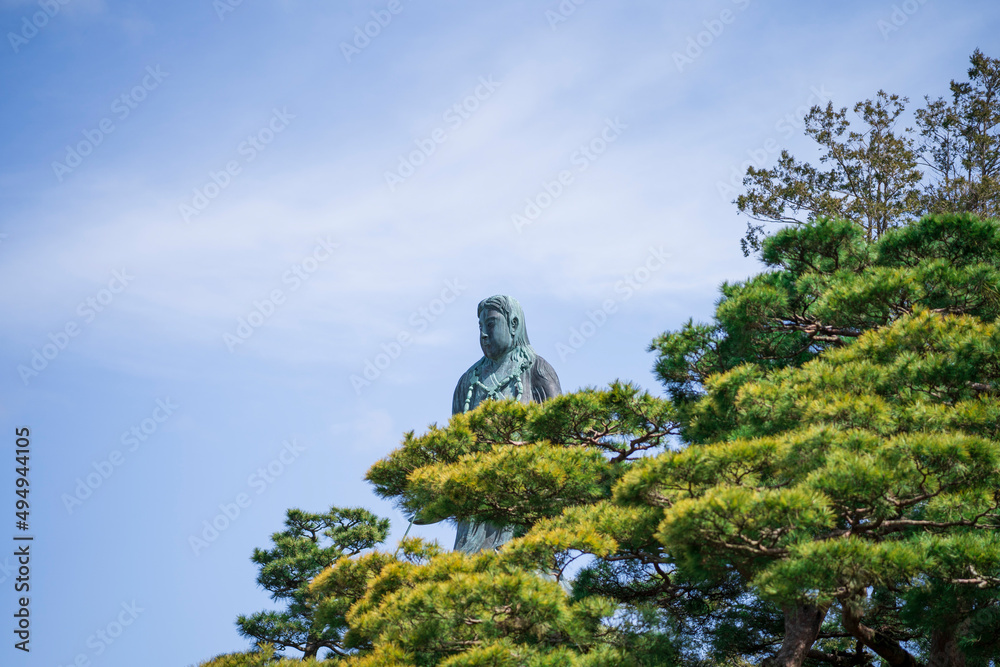 Fototapeta premium 木の上から顔を出す像