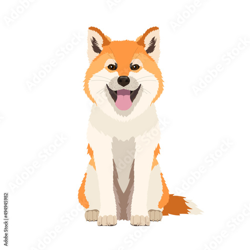 Vector portrait of a funny Shiba Inu isolated on white background