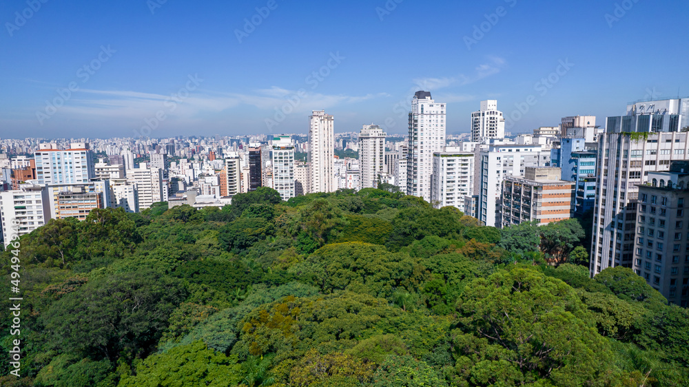 Preservation area on Av Paulista, São Paulo. Trianon Park. Trees and buildings. 