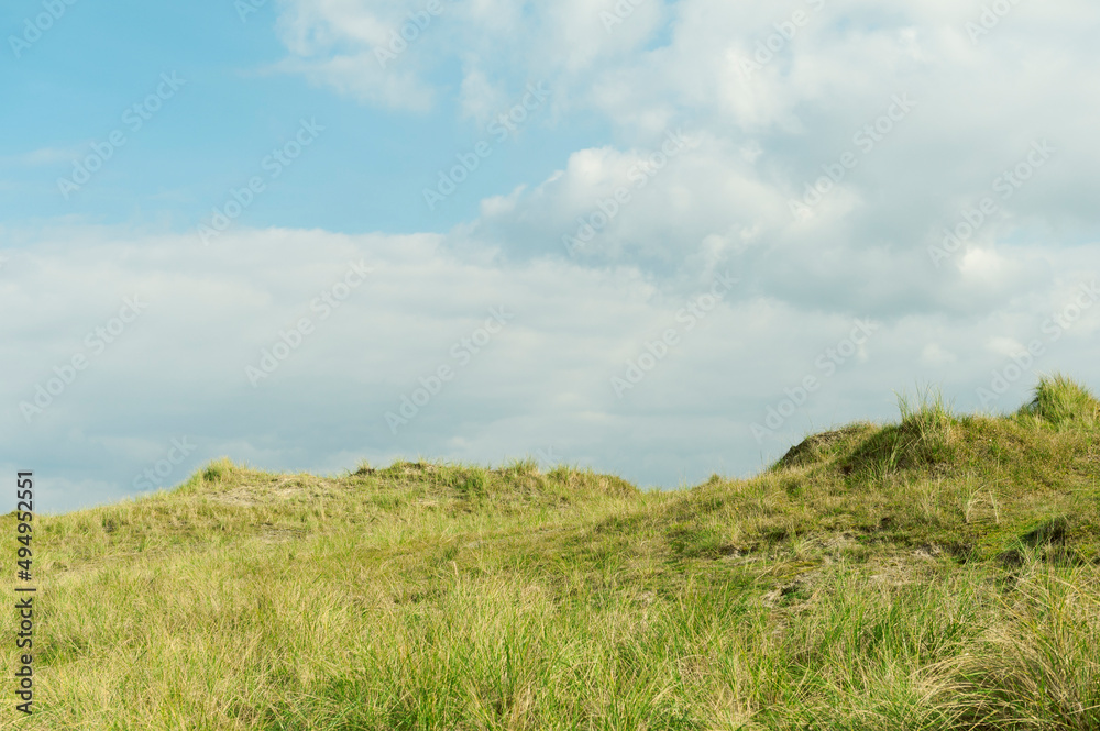 grass and sky