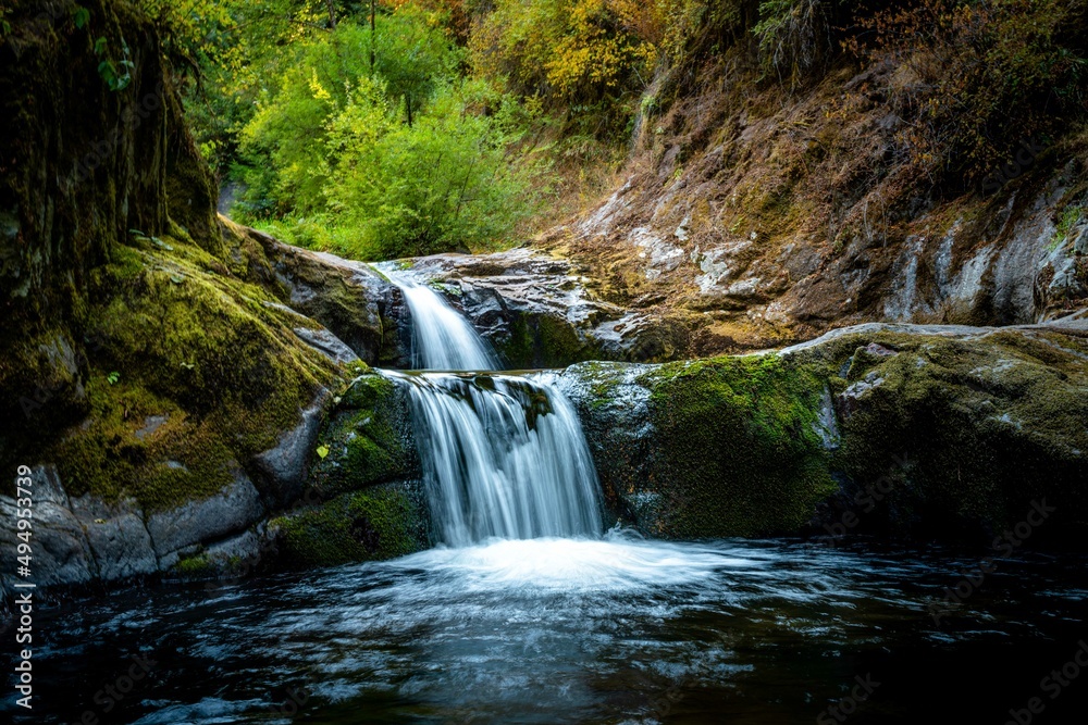 Fototapeta premium Waterfall in the forest