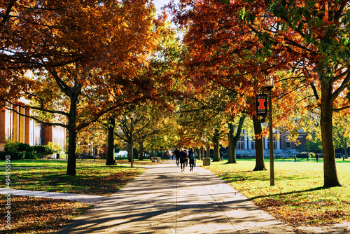 Fotografiet Scenic view of a park near the University of Illinois at Urbana-Champaign