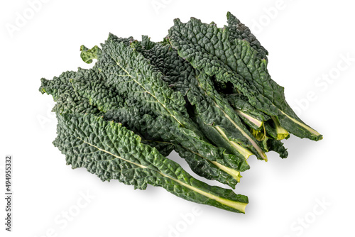 Fototapeta Naklejka Na Ścianę i Meble -  Leaves of Italian black kale or Tuscan kale or lacinato or dinosaur kale isolated on white; clipping path