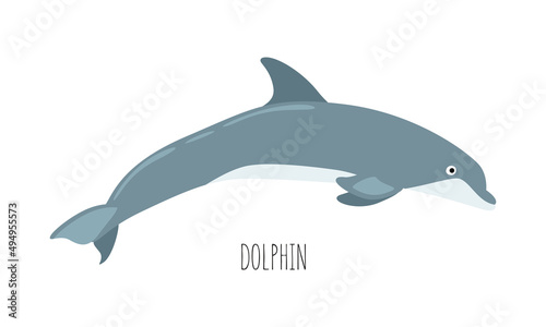 Sea animal  dolphin isolated on white background. underwater inhabitants. Flat vector cartoon