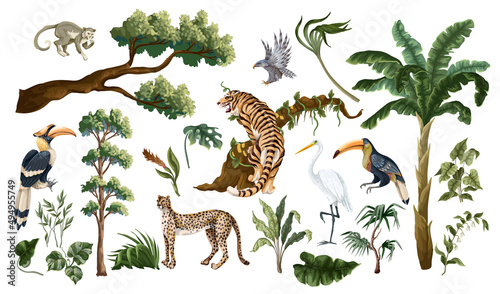 Jungle birds and animals isolated. Vector interior print. © Yumeee
