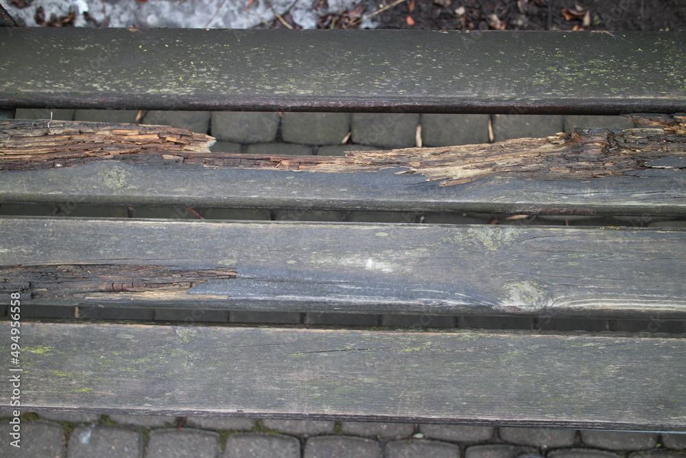 rotten planks of a park bench
