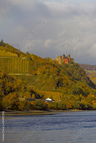 Vineyards and castle Schoenburg at the Upper Middle Rhine Valley photo