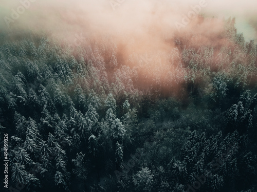 Foto Aerial shot of treetops of a hazy forest